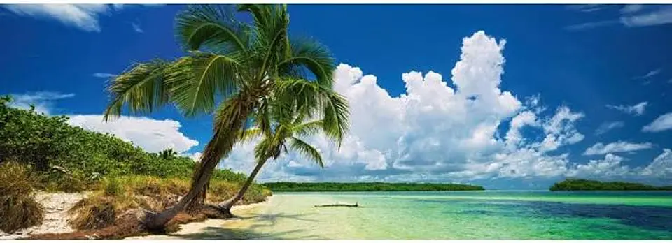 Puzzle 2000 Piezas Panorámico | Paradise Palms 2