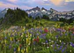 Puzzle 2000 Piezas | Tatoosh Mountains - Miniatura 2
