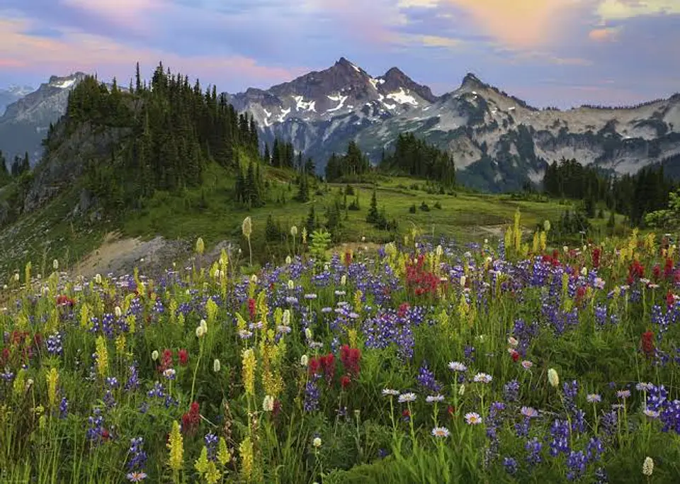 Puzzle 2000 Piezas | Tatoosh Mountains 2