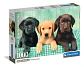 Puzzle 1000 Piezas | Tres Labradores - Miniatura 1