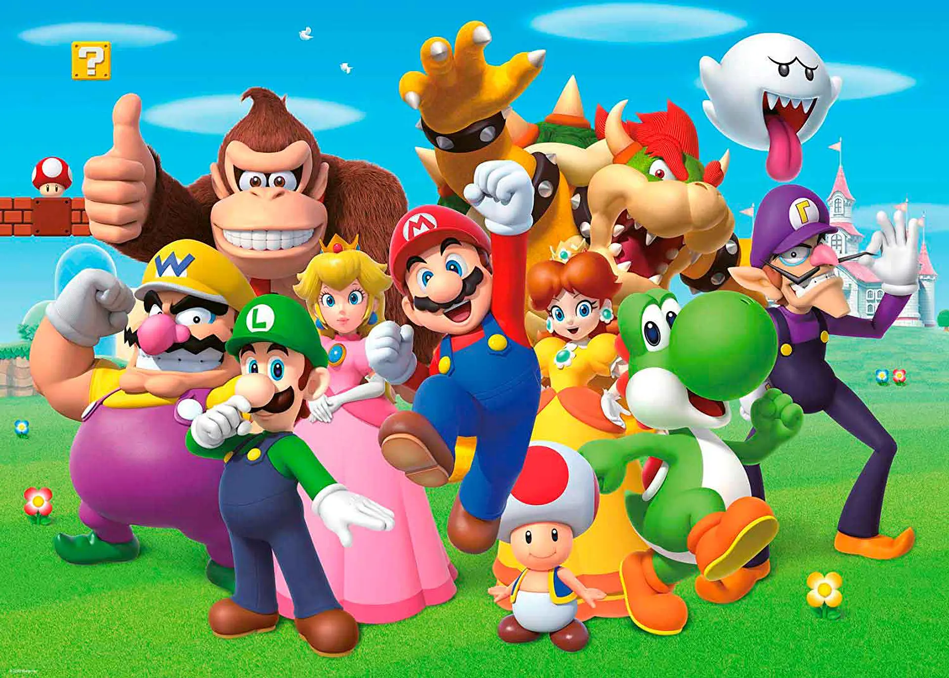 Puzzle 1000 Piezas | Super Mario Bros 2