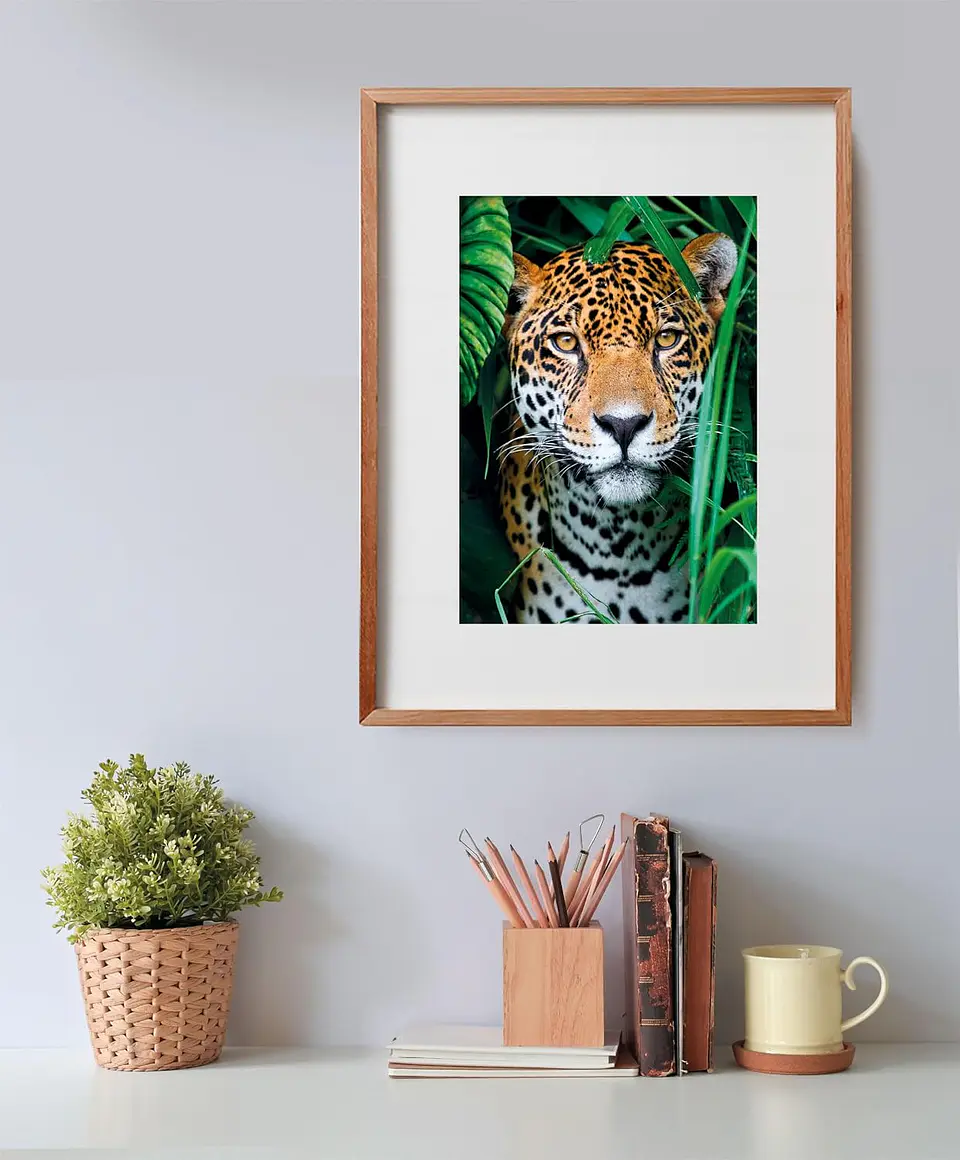 Puzzle 500 Piezas | Jaguar en la Selva 3