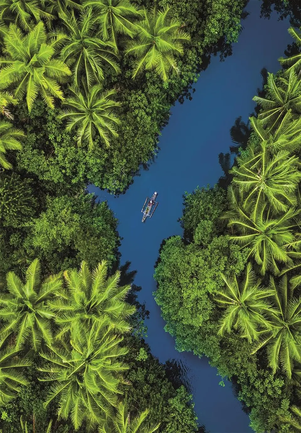 Puzzle 500 Piezas | Vista Aérea Tropical 2