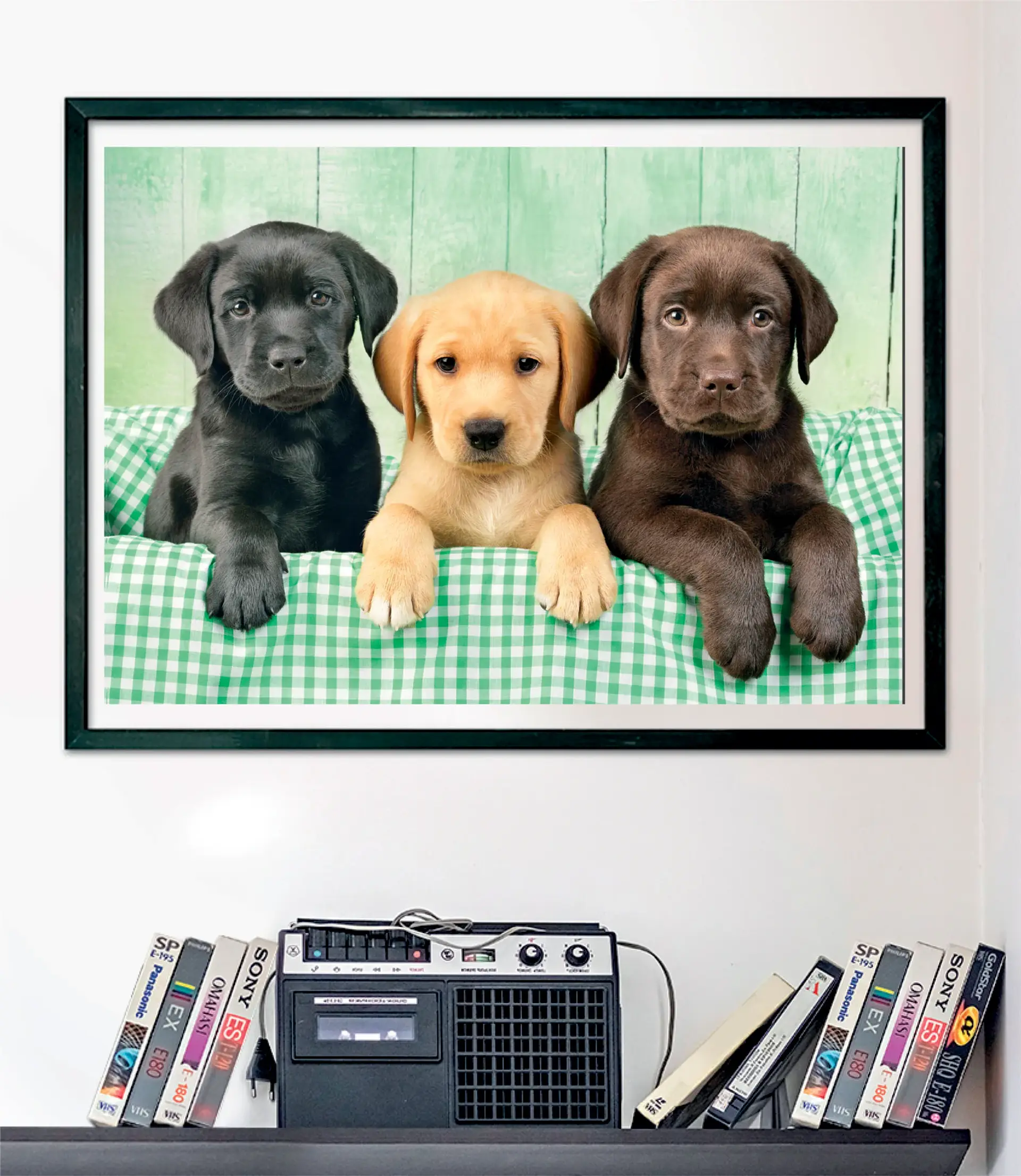 Puzzle 1000 Piezas | Tres Labradores 3