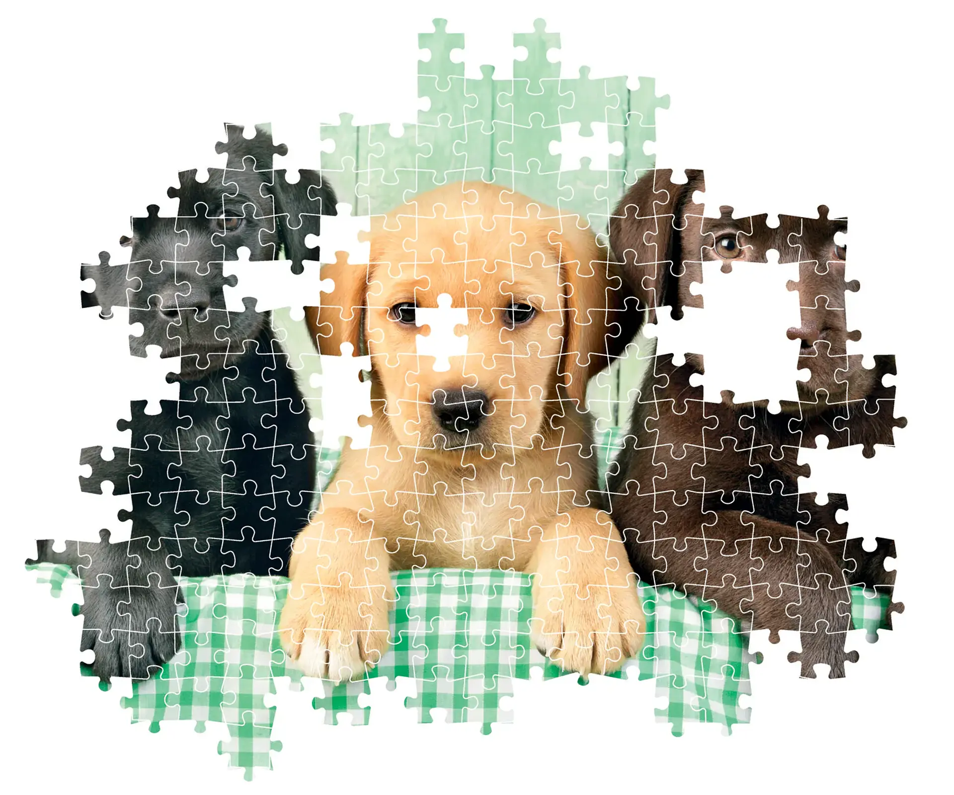 Puzzle 1000 Piezas | Tres Labradores 4