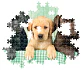 Puzzle 1000 Piezas | Tres Labradores - Miniatura 4