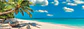 Puzzle 1000 Piezas Panorámico | Columpio junto al Océano - Miniatura 2