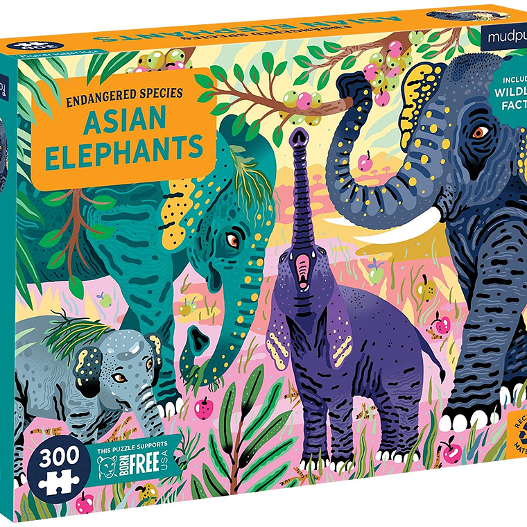 PUZZLE 300PCS, ELEFANTE ASIATICO, PELIGRO DE EXTINCIÓN 3