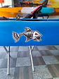 Sticker para kayak Pez Skeleto - Miniatura 2