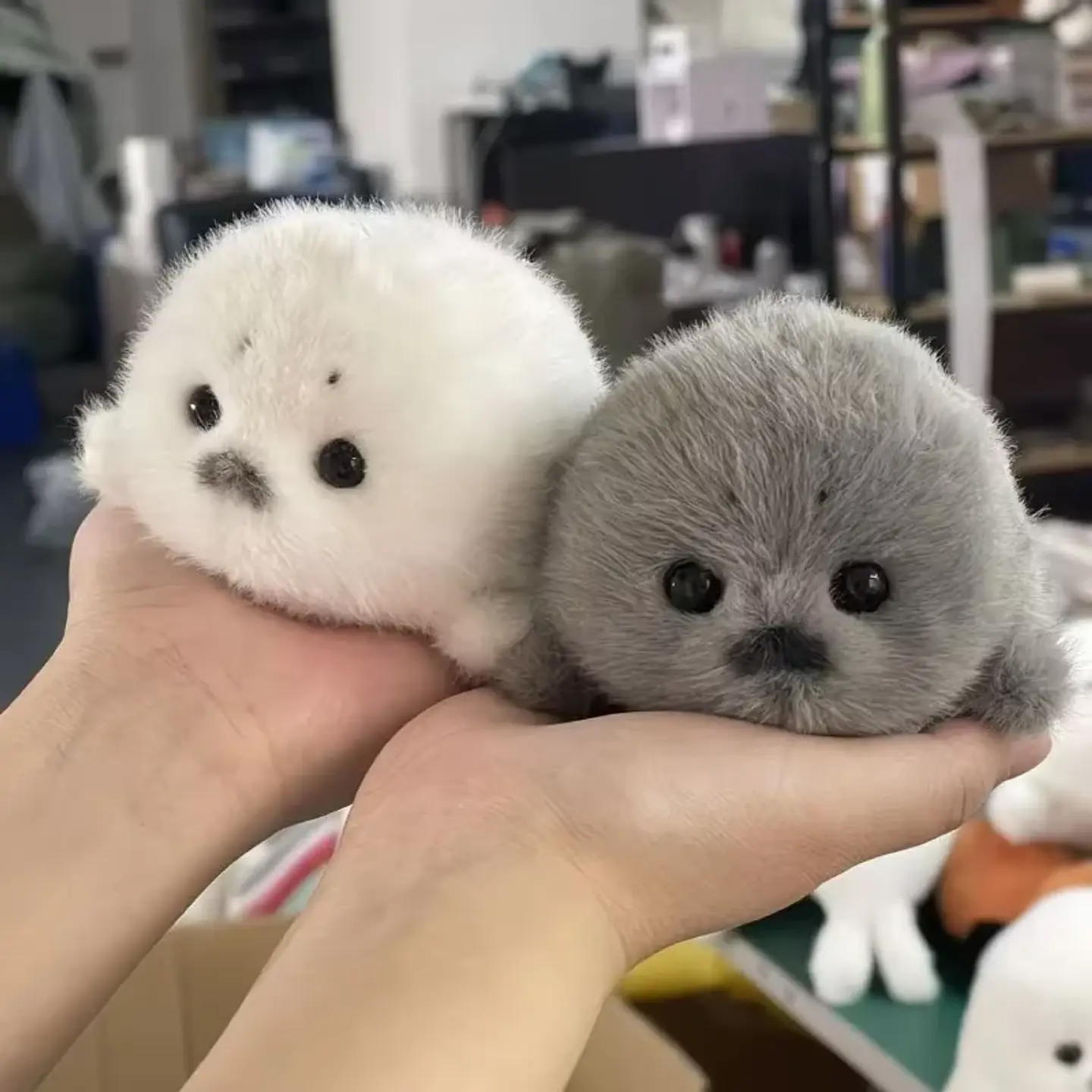 Soft Grey Seal Plush Keychain White Seal Plushies Animal Pendant Fashion Stuffed Doll Keyring Car Key Accessories Car Ornaments 2