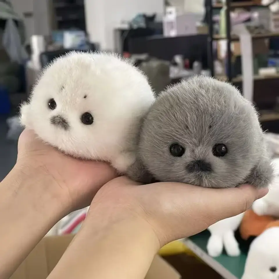 Soft Grey Seal Plush Keychain White Seal Plushies Animal Pendant Fashion Stuffed Doll Keyring Car Key Accessories Car Ornaments 2