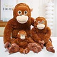 30-90CM Cartoon Gorilla Plush Toy Chimpanzees Punch Monkey Soft Stuffed Doll Decor Girls Birthday Gift Orangutan Plushies Dolls - Thumbnail 5
