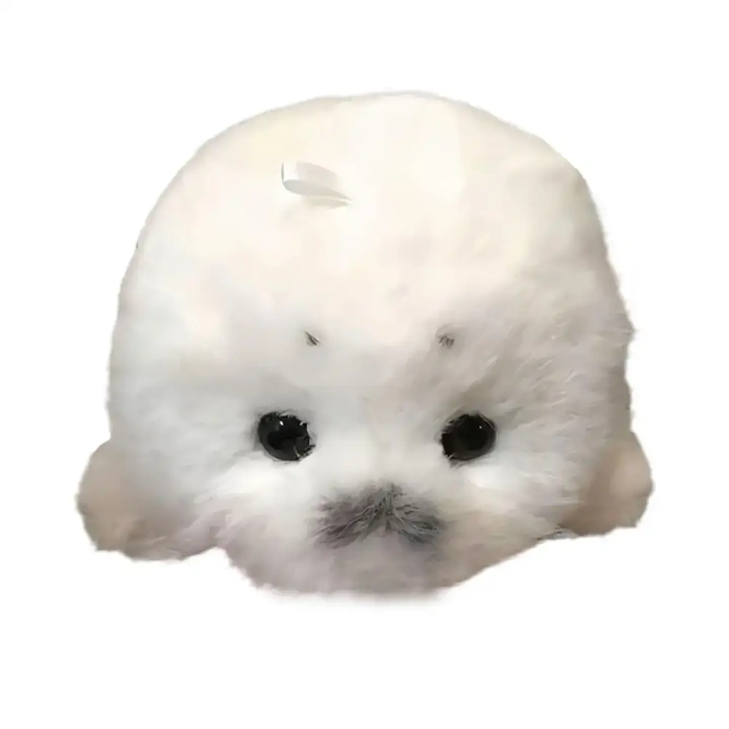 Soft Grey Seal Plush Keychain White Seal Plushies Animal Pendant Fashion Stuffed Doll Keyring Car Key Accessories Car Ornaments 7