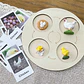 Montessori life cycle le cycle de vie English Placa De Video Frog Butterfly Seeds Cyclus Bij Ant teaching aids Educationals Toys - Thumbnail 5