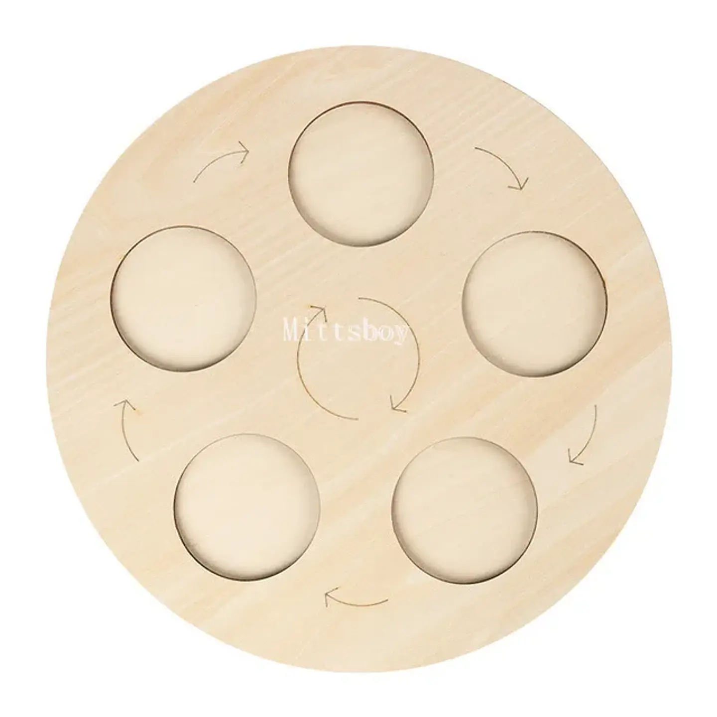 Montessori life cycle le cycle de vie English Placa De Video Frog Butterfly Seeds Cyclus Bij Ant teaching aids Educationals Toys 8