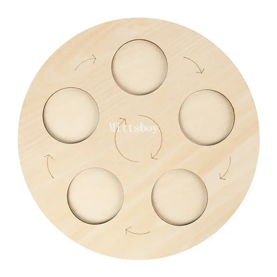 Montessori life cycle le cycle de vie English Placa De Video Frog Butterfly Seeds Cyclus Bij Ant teaching aids Educationals Toys 8