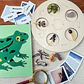 Montessori life cycle le cycle de vie English Placa De Video Frog Butterfly Seeds Cyclus Bij Ant teaching aids Educationals Toys - Thumbnail 9
