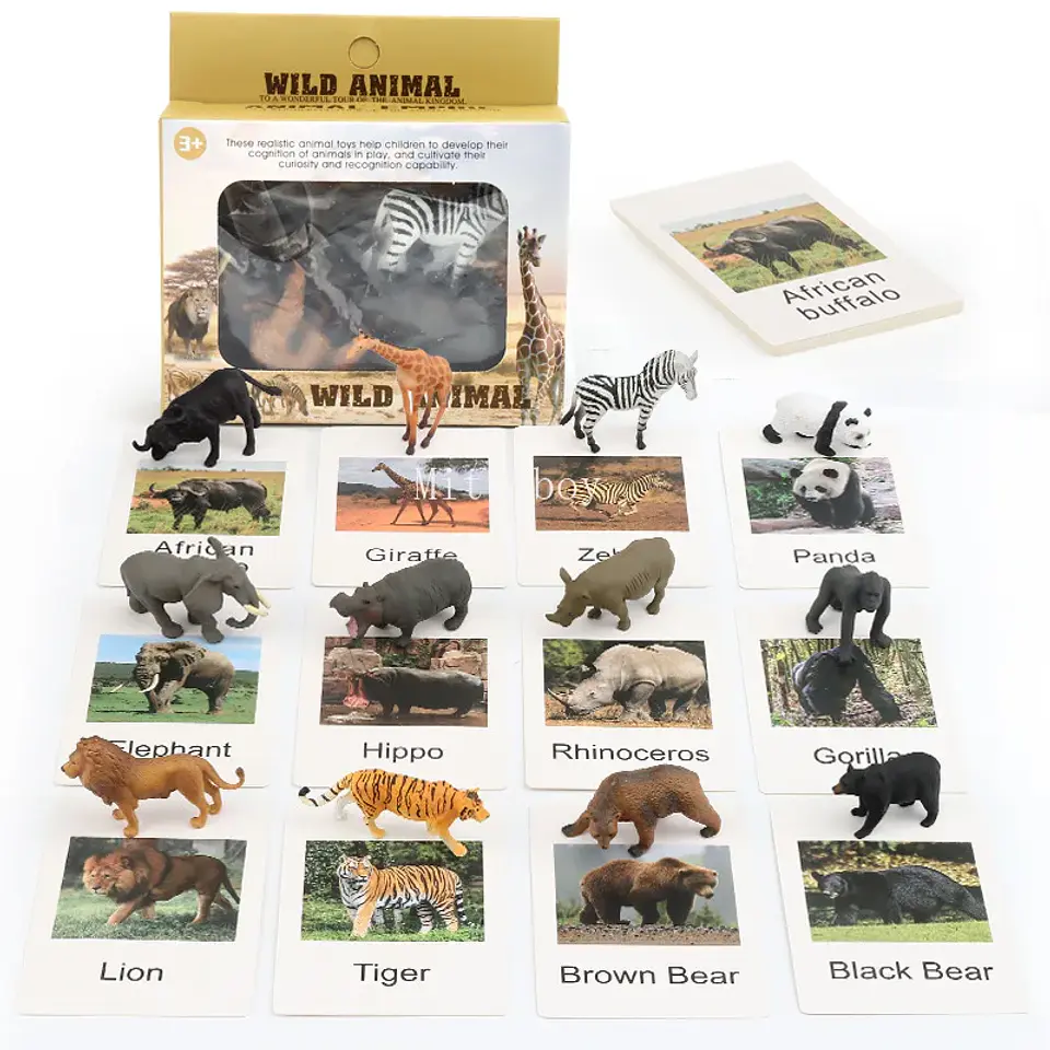 Montessori life cycle le cycle de vie English Placa De Video Frog Butterfly Seeds Cyclus Bij Ant teaching aids Educationals Toys 12
