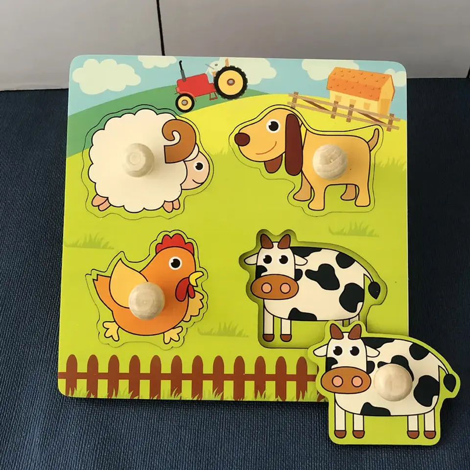Montessori Toy Wooden Building Blocks Early Learning Educational Toys Color Shape Match Kids Puzzle Toys For Children Boys Girls 8