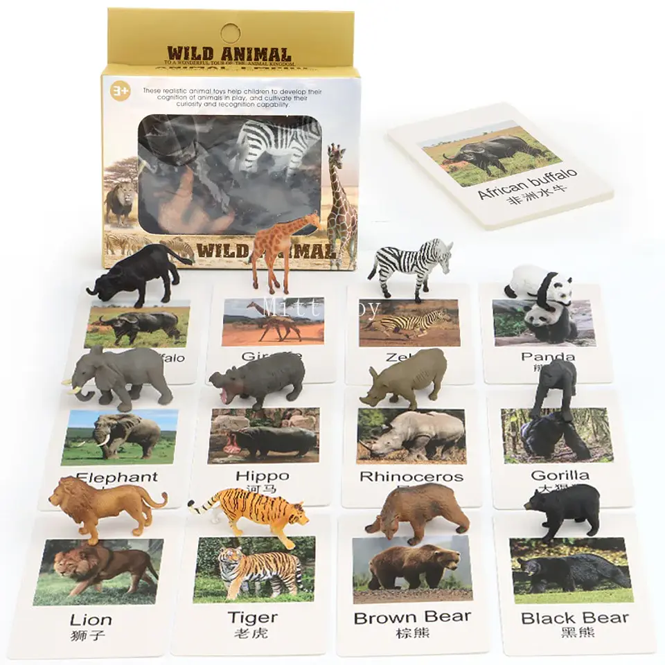Montessori life cycle le cycle de vie English Placa De Video Frog Butterfly Seeds Cyclus Bij Ant teaching aids Educationals Toys 13