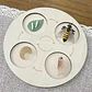 Montessori life cycle le cycle de vie English Placa De Video Frog Butterfly Seeds Cyclus Bij Ant teaching aids Educationals Toys - Thumbnail 16