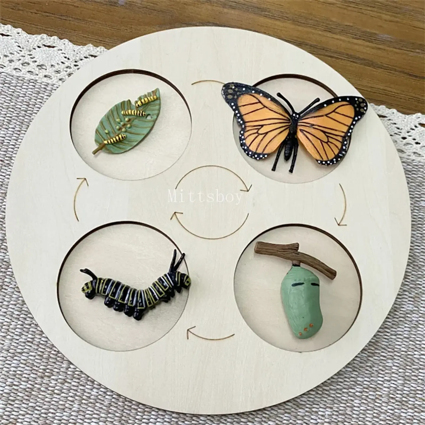 Montessori life cycle le cycle de vie English Placa De Video Frog Butterfly Seeds Cyclus Bij Ant teaching aids Educationals Toys 17