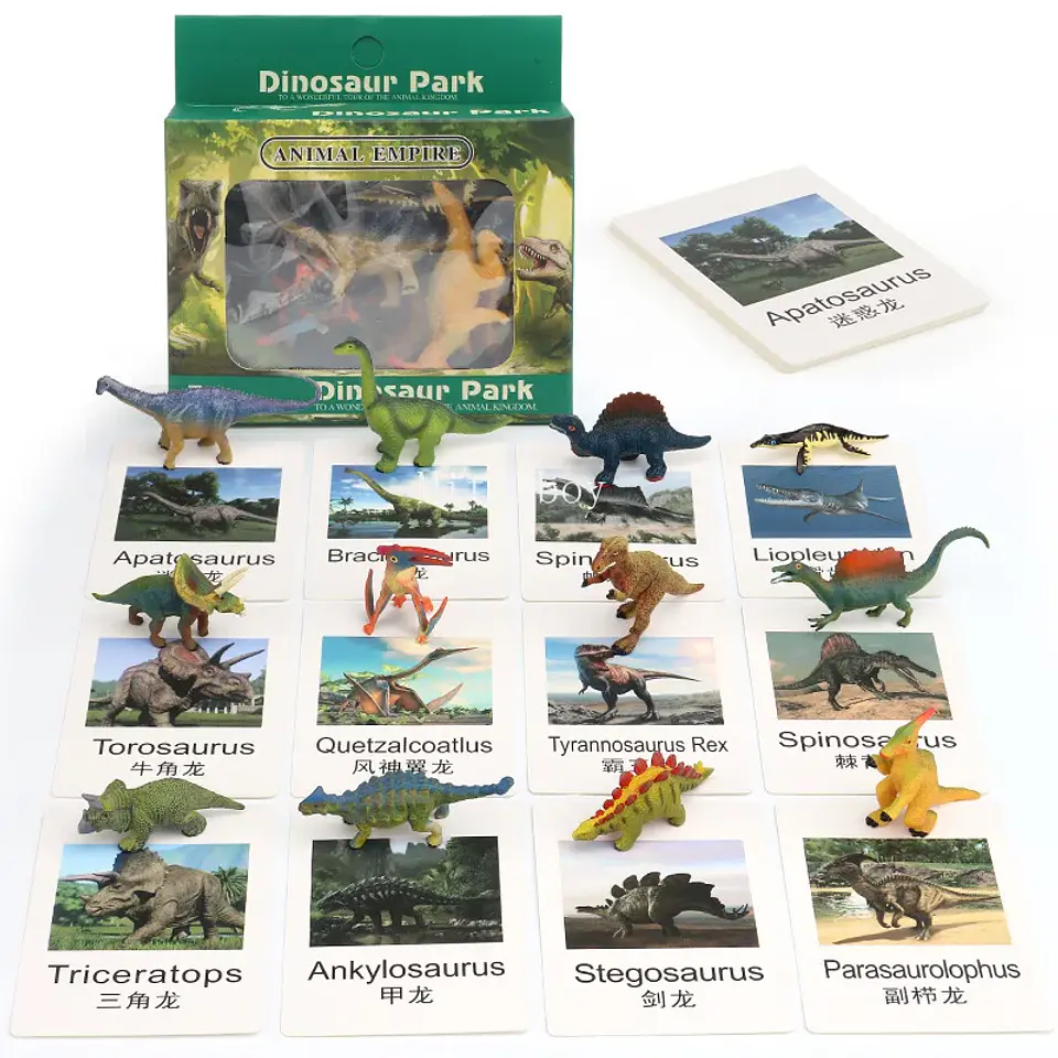 Montessori life cycle le cycle de vie English Placa De Video Frog Butterfly Seeds Cyclus Bij Ant teaching aids Educationals Toys 18