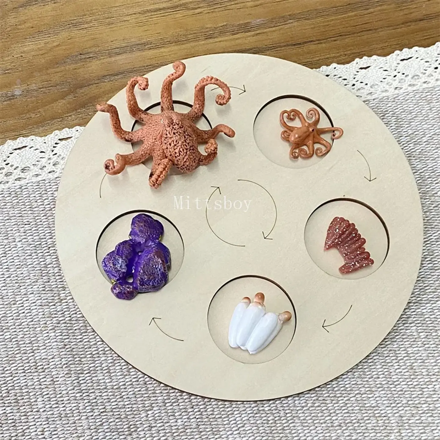 Montessori life cycle le cycle de vie English Placa De Video Frog Butterfly Seeds Cyclus Bij Ant teaching aids Educationals Toys 20