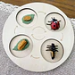 Montessori life cycle le cycle de vie English Placa De Video Frog Butterfly Seeds Cyclus Bij Ant teaching aids Educationals Toys - Thumbnail 21
