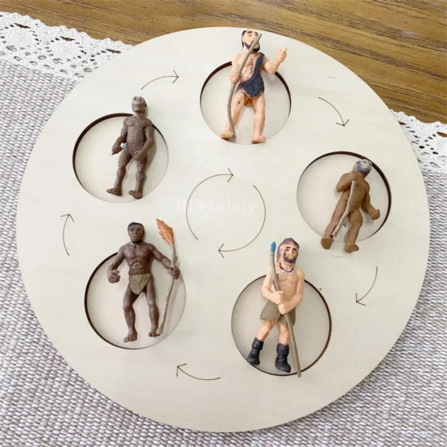 Montessori life cycle le cycle de vie English Placa De Video Frog Butterfly Seeds Cyclus Bij Ant teaching aids Educationals Toys 26