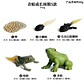 Montessori life cycle le cycle de vie English Placa De Video Frog Butterfly Seeds Cyclus Bij Ant teaching aids Educationals Toys - Thumbnail 27