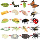Montessori life cycle le cycle de vie English Placa De Video Frog Butterfly Seeds Cyclus Bij Ant teaching aids Educationals Toys - Thumbnail 29