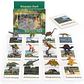 Montessori life cycle le cycle de vie English Placa De Video Frog Butterfly Seeds Cyclus Bij Ant teaching aids Educationals Toys - Thumbnail 31