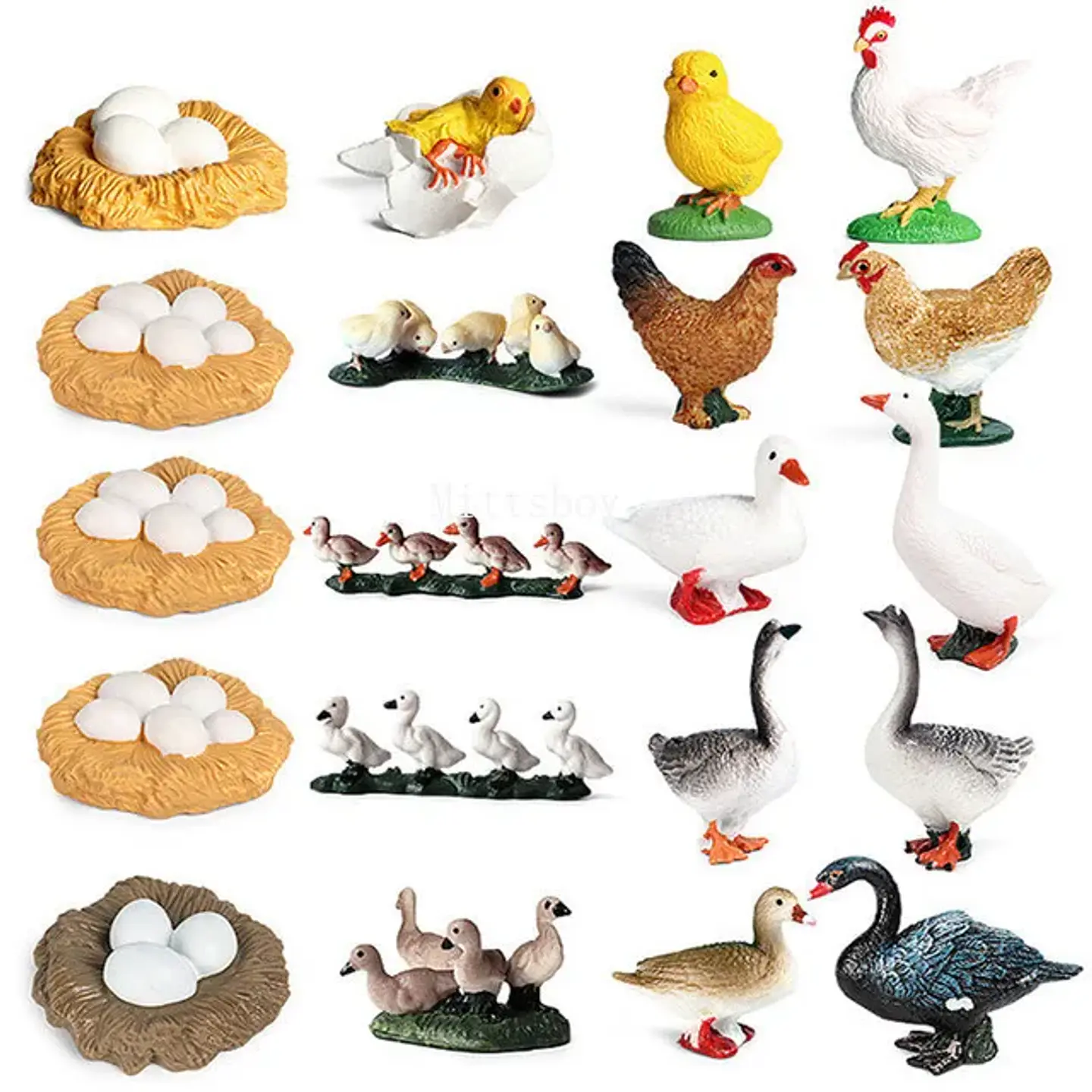 Montessori life cycle le cycle de vie English Placa De Video Frog Butterfly Seeds Cyclus Bij Ant teaching aids Educationals Toys 32