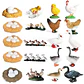 Montessori life cycle le cycle de vie English Placa De Video Frog Butterfly Seeds Cyclus Bij Ant teaching aids Educationals Toys - Thumbnail 32