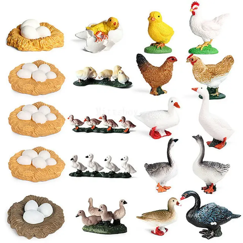 Montessori life cycle le cycle de vie English Placa De Video Frog Butterfly Seeds Cyclus Bij Ant teaching aids Educationals Toys 32
