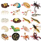 Montessori life cycle le cycle de vie English Placa De Video Frog Butterfly Seeds Cyclus Bij Ant teaching aids Educationals Toys - Thumbnail 34