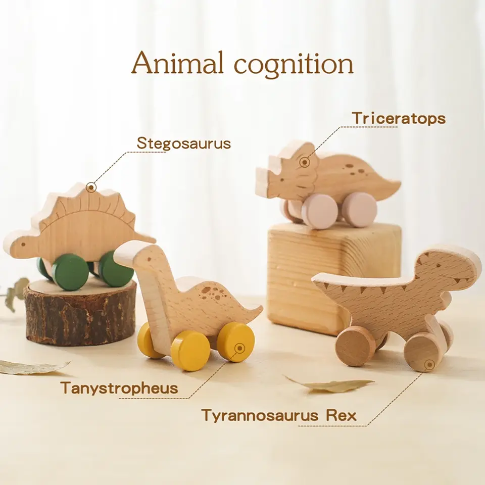 Wooden Dinosaur Teether Car Natural Baby Sensory Toy for Toddlers 17
