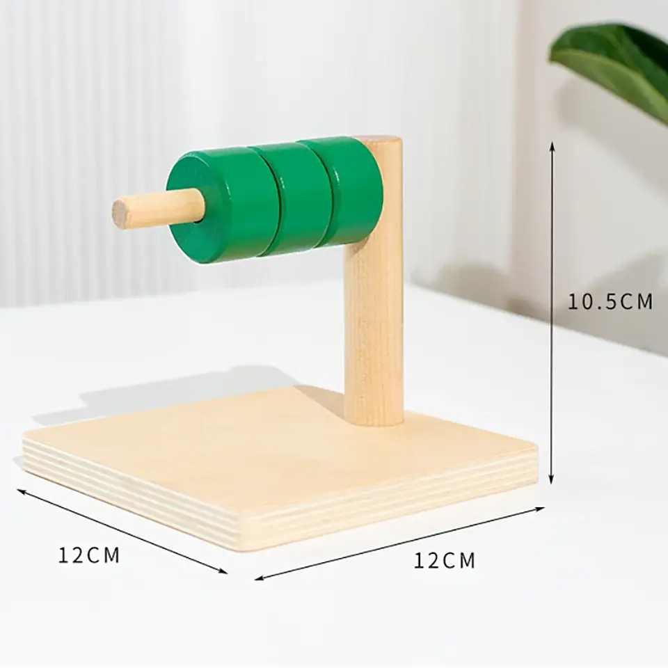 Object Permanence Coin Box Wooden Fine Motor Learning Toy for Toddlers 17