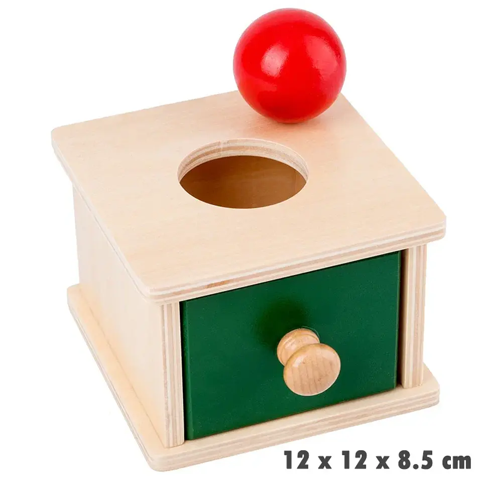 Object Permanence Coin Box Wooden Fine Motor Learning Toy for Toddlers 22