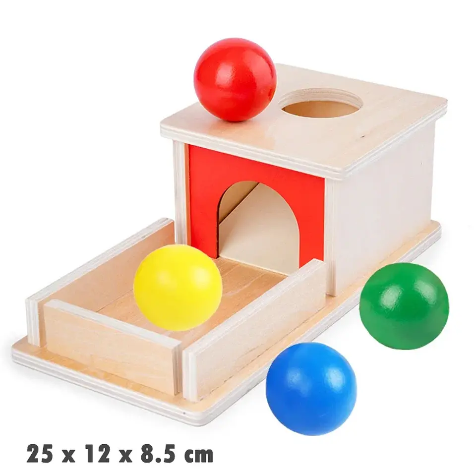 Object Permanence Coin Box Wooden Fine Motor Learning Toy for Toddlers 23