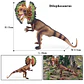 Oenux Jurassic Dinosaur Figures Realistic PVC Dinosaur Models for Kids - thumbnail 51