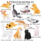 Oenux Mini Animal Figures PVC Zoo Model Set - vignette 7