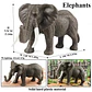 Oenux Elephant Figure Realistic PVC Wildlife Model - thumbnail 7