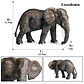 Oenux Elephant Figure Realistic PVC Wildlife Model - thumbnail 25