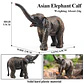 Oenux Elephant Figure Realistic PVC Wildlife Model - thumbnail 27