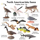 Oenux Mini Animal Figures PVC Zoo Model Set - vignette 37