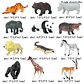 Oenux Mini Animal Figures PVC Zoo Model Set - vignette 46