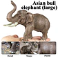 Oenux Elephant Figure Realistic PVC Wildlife Model - thumbnail 45