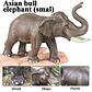 Oenux Elephant Figure Realistic PVC Wildlife Model - thumbnail 46